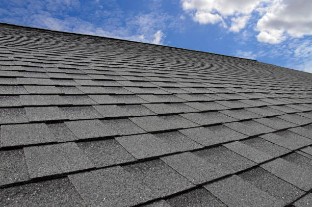 Best Gutter Installation and Repair  in Ayden, NC